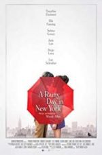 Watch A Rainy Day in New York Vumoo