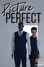 Watch Picture Perfect Vumoo