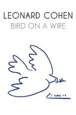 Watch Bird on a Wire Vumoo