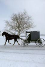 Watch Leaving Amish Paradise Vumoo
