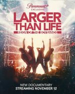 Watch Larger Than Life: Reign of the Boybands Vumoo
