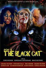 Watch POE 4: The Black Cat Vumoo