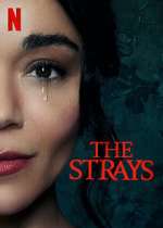 Watch The Strays Vumoo