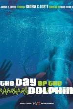 Watch The Day of the Dolphin Vumoo