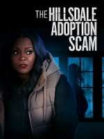 Watch The Hillsdale Adoption Scam Vumoo