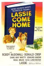 Watch Lassie Come Home Vumoo