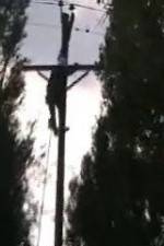 Watch After the Wind Vumoo