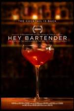 Watch Hey Bartender Vumoo