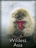 Watch Wildest Asia Vumoo