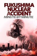 Watch Fukushima Nuclear Accident - Minute by minute Vumoo