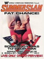 Watch Summerslam (TV Special 1993) Vumoo