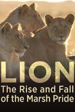 Watch Lion: The Rise and Fall of the Marsh Pride Vumoo