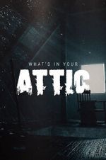 Watch What\'s in Your Attic? (Short 2019) Vumoo