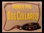 Watch Dog Collared (Short 1950) Vumoo