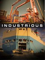 Watch Industrious Vumoo