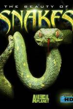 Watch The Beauty of Snakes Vumoo