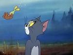 Watch The Cat and the Mermouse Vumoo