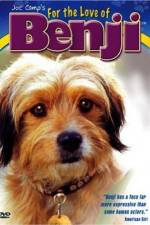Watch For the Love of Benji Vumoo
