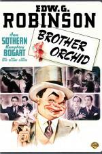 Watch Brother Orchid Vumoo