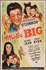 Watch Mister Big Vumoo