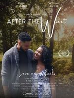 Watch After the Wait Vumoo