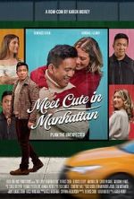 Watch Meet Cute in Manhattan Vumoo