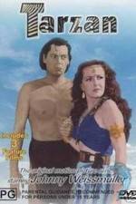 Watch Tarzan's Desert Mystery Vumoo
