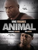 Watch Animal Vumoo