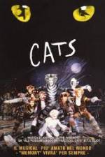 Watch Cats Vumoo