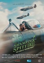 Watch The Shamrock Spitfire Vumoo