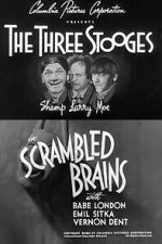 Watch Scrambled Brains Vumoo