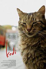 Watch Kedi Vumoo