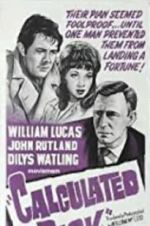Watch Calculated Risk Vumoo