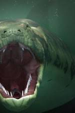 Watch The World's Largest Snake Vumoo