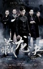 Watch Hidden Dragon Battle Vumoo