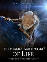 Watch The Meaning and Mystery of Life Vumoo