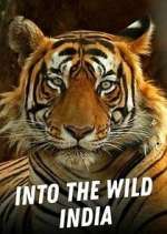 Watch Into the Wild India Vumoo