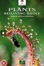 Watch Plants Behaving Badly Vumoo