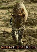 Watch Night Stalkers Vumoo