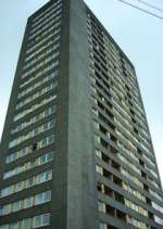 Watch High Times Vumoo