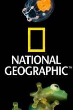 Watch Nat Geo Amazing! Vumoo