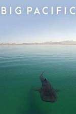 Watch Big Pacific Vumoo