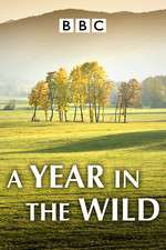 Watch A Year in the Wild Vumoo