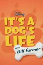 Watch It\'s a Dog\'s Life with Bill Farmer Vumoo