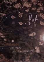 Watch One Spring Night Vumoo