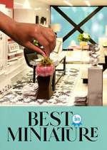 Watch Best in Miniature Vumoo