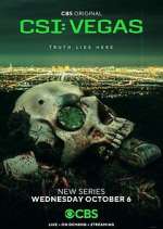 Watch CSI: Vegas Vumoo
