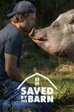 Watch Saved by the Barn Vumoo