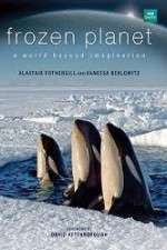 Watch Frozen Planet Vumoo