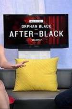 Watch Innerspace: After the Black Vumoo